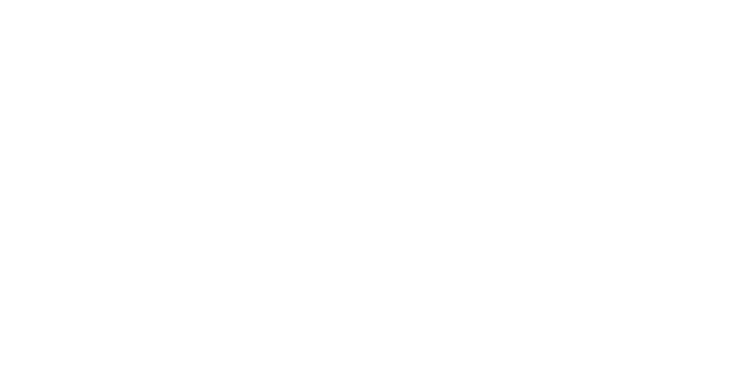 fansi