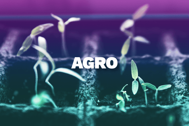 https://app.brandbuddies.pl/uploads/blog_post/photo/162/agro-07.png