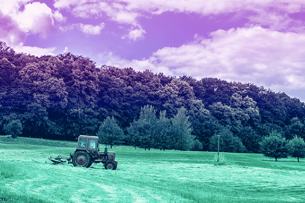 https://app.brandbuddies.pl/uploads/blog_post/photo/171/blog_farmer.png