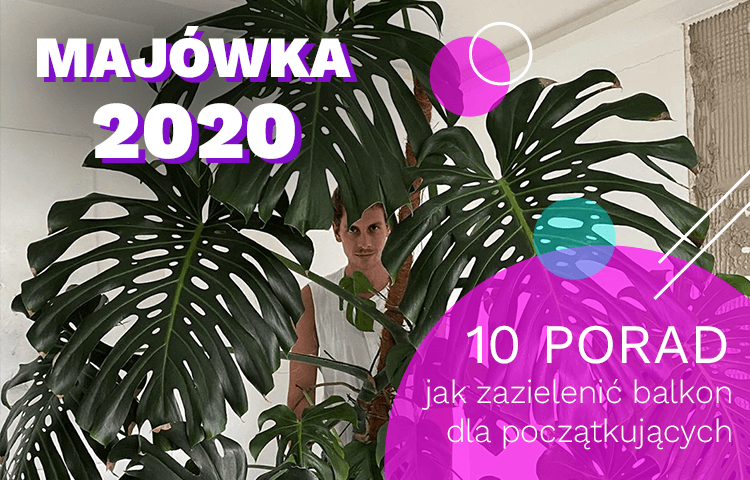 https://app.brandbuddies.pl/uploads/blog_post/photo/250/BB_750x480_re.png