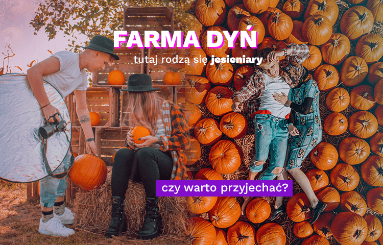 https://app.brandbuddies.pl/uploads/blog_post/photo/324/BB_750x480_v2_dynie2.png