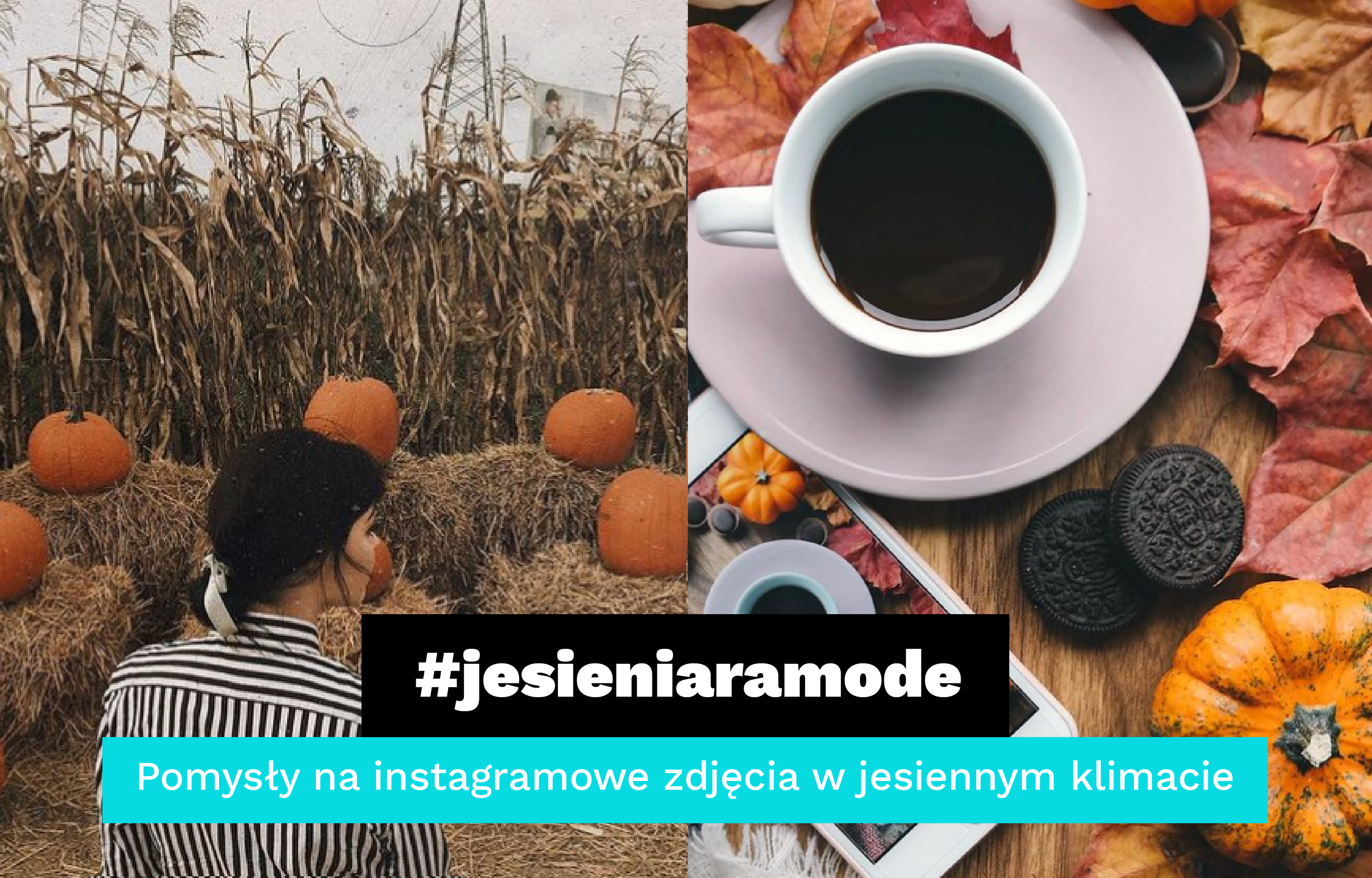 https://app.brandbuddies.pl/uploads/blog_post/photo/395/Jesieniara.png