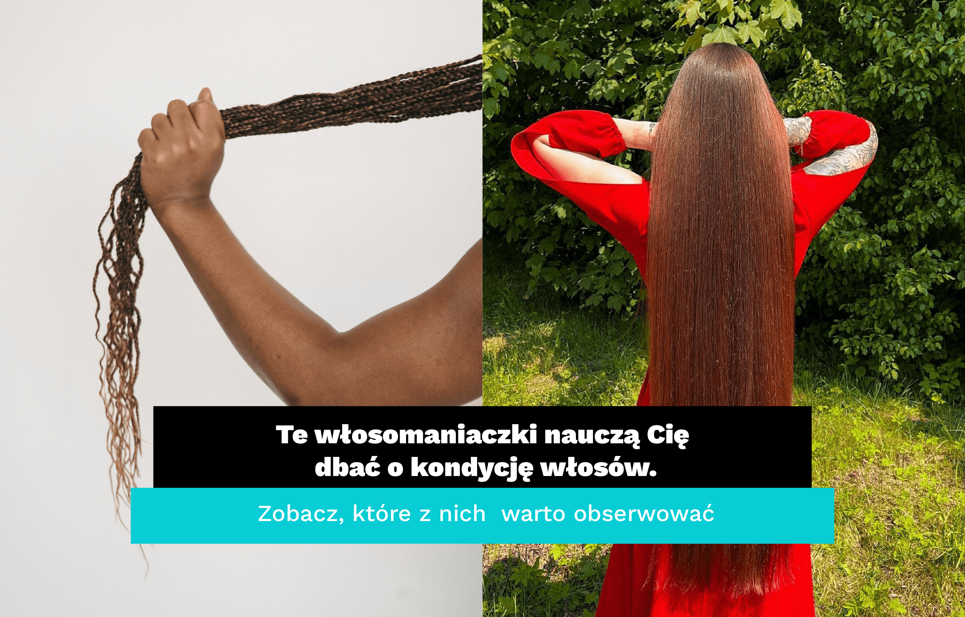 https://app.brandbuddies.pl/uploads/blog_post/photo/509/NEWS_BB_w%C5%82osomaniaczki_COVER2.png