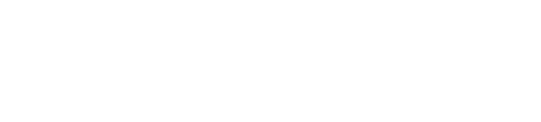 new-media-management
